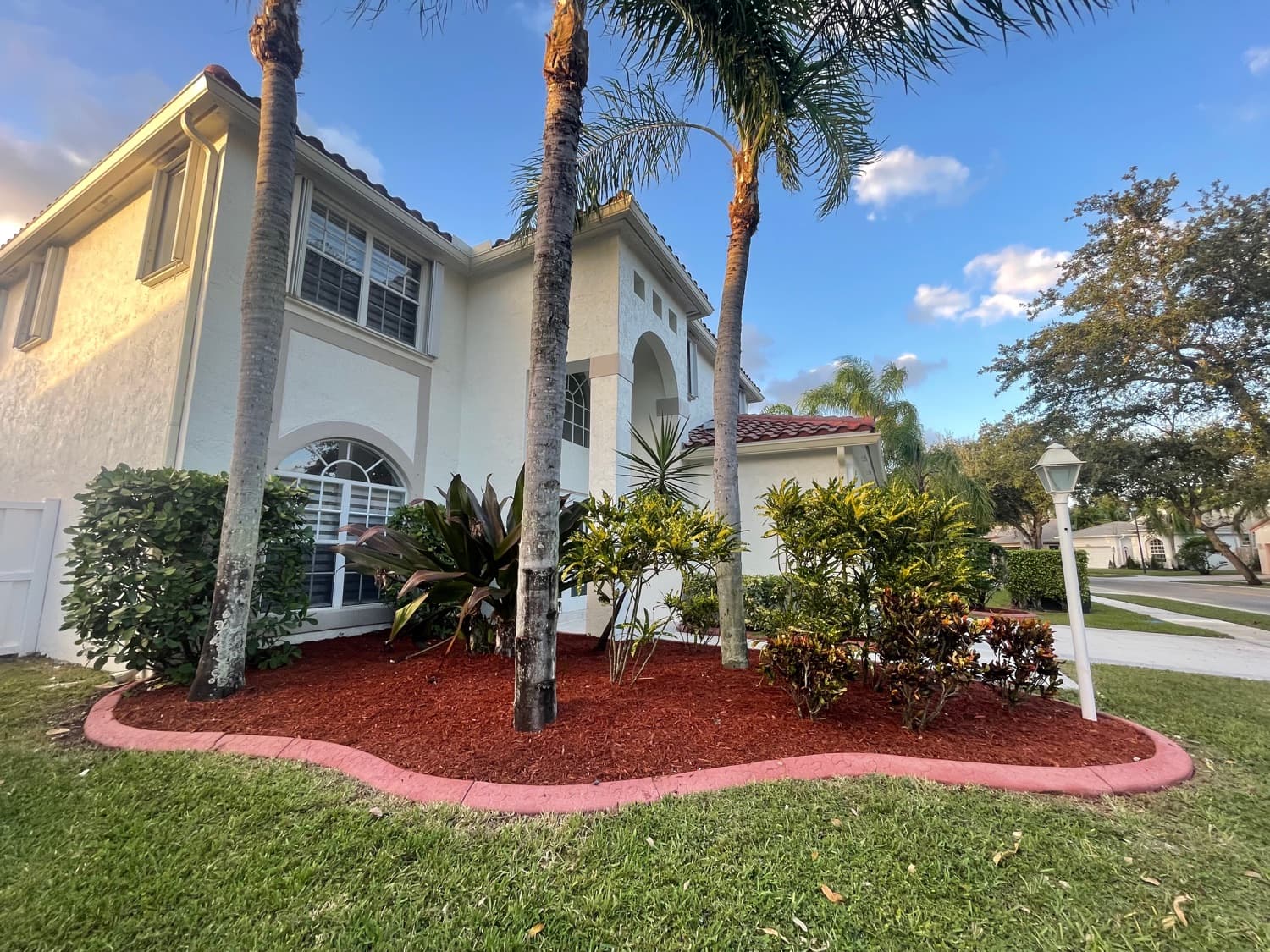 Curb appeal with mulch and palm trees