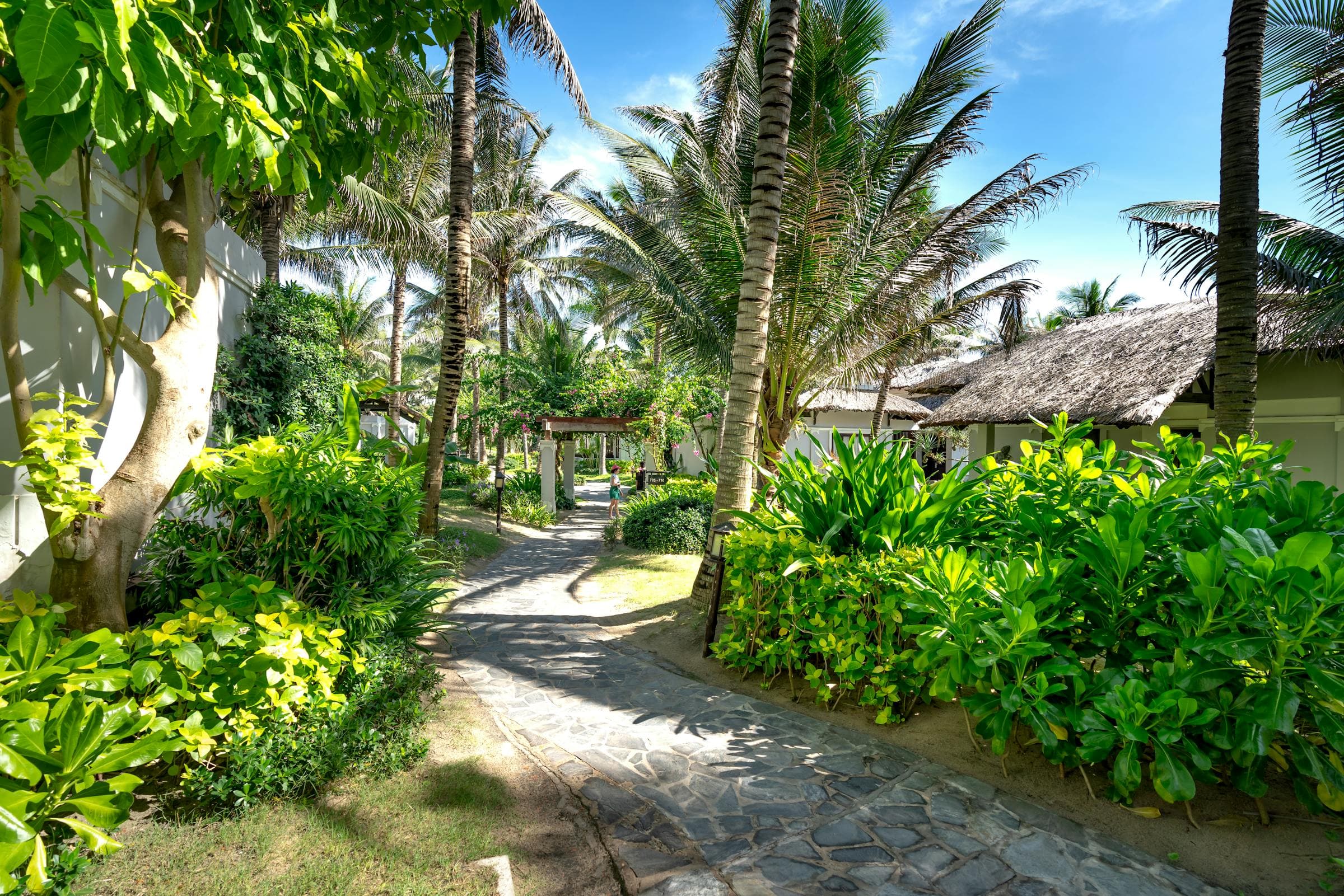 Lush tropical garden landscaping with palms, manicured plant beds, and a stone path